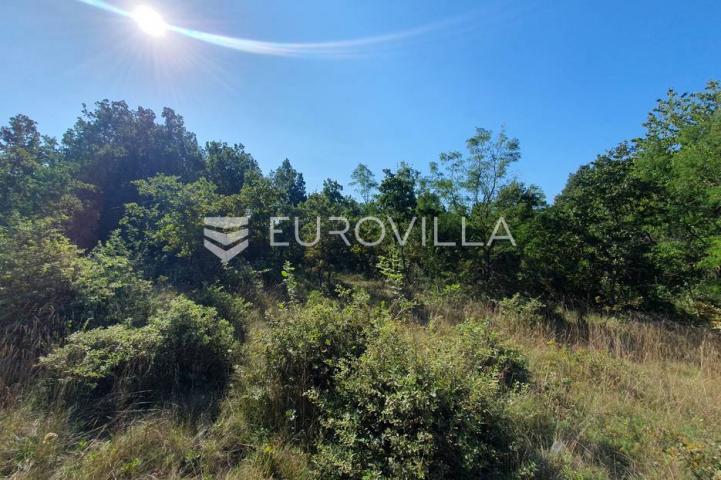 Istra, Baderna, poljoprivredno zemljište 12.120m2