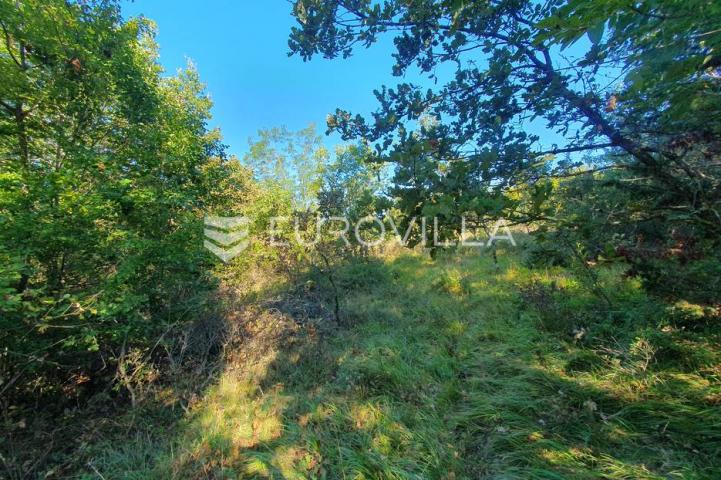 Istra, Baderna, poljoprivredno zemljište 12.120m2