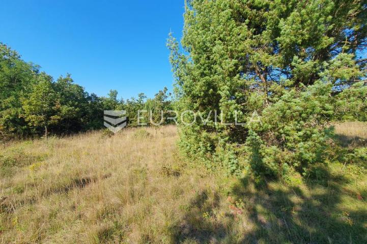 Istra, Baderna, poljoprivredno zemljište 12.120m2