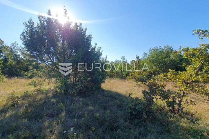 Istra, Baderna, poljoprivredno zemljište 12.120m2