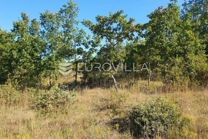 Istra, Baderna, poljoprivredno zemljište 12.120m2