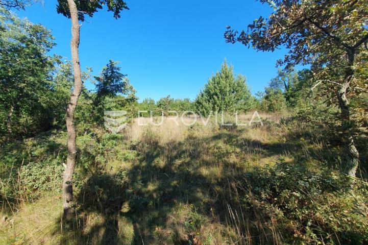 Istra, Baderna, poljoprivredno zemljište 12.120m2