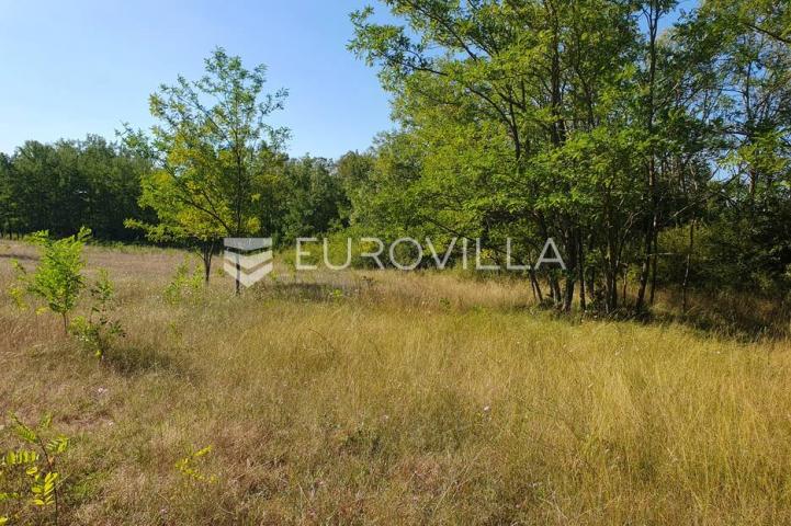 Istra, Baderna, poljoprivredno zemljište 12.120m2