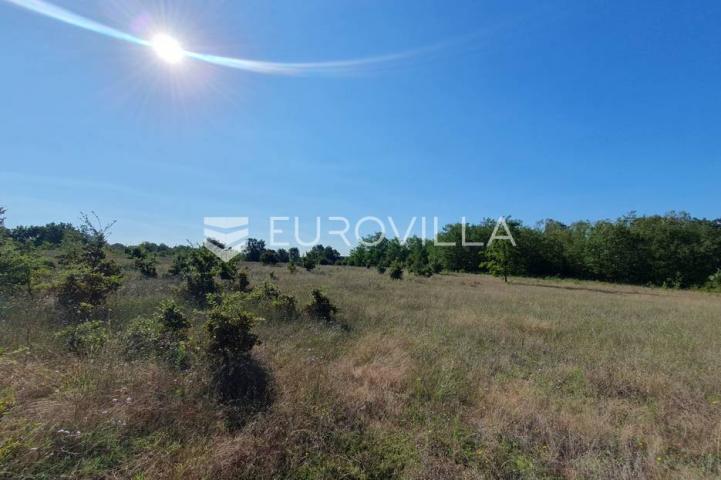 Istra, Baderna, poljoprivredno zemljište 12.120m2