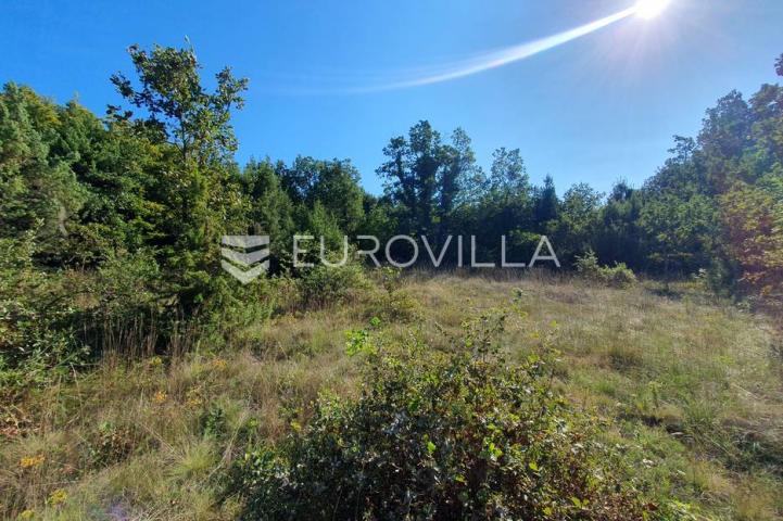 Istra, Baderna, poljoprivredno zemljište 12.120m2