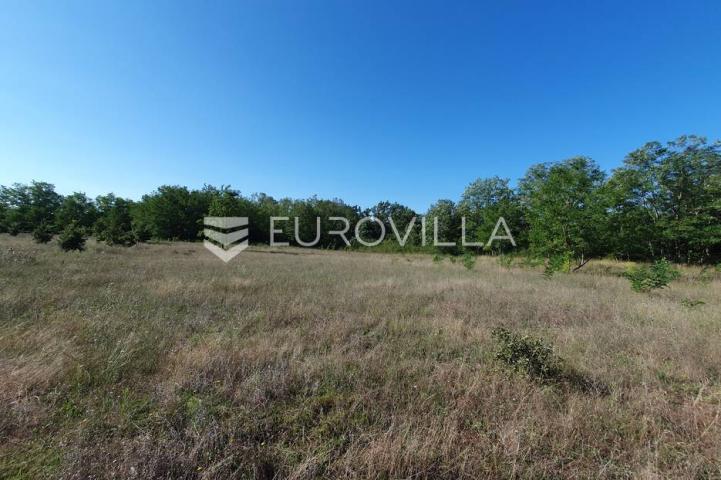Istra, Baderna, poljoprivredno zemljište 12.120m2