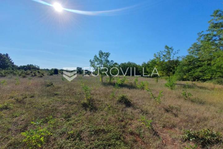 Istra, Baderna, poljoprivredno zemljište 12.120m2