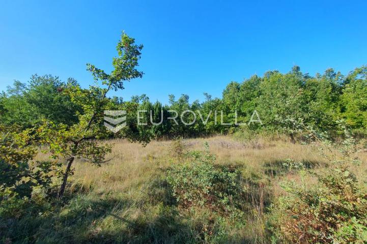 Istra, Baderna, poljoprivredno zemljište 12.120m2