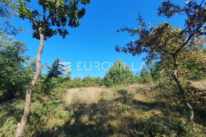 Istra, Baderna, poljoprivredno zemljište 12.120m2