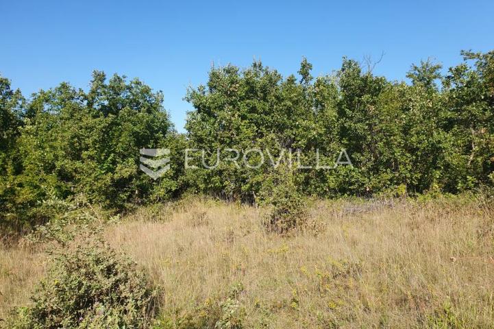 Istra, Baderna, poljoprivredno zemljište 12.120m2
