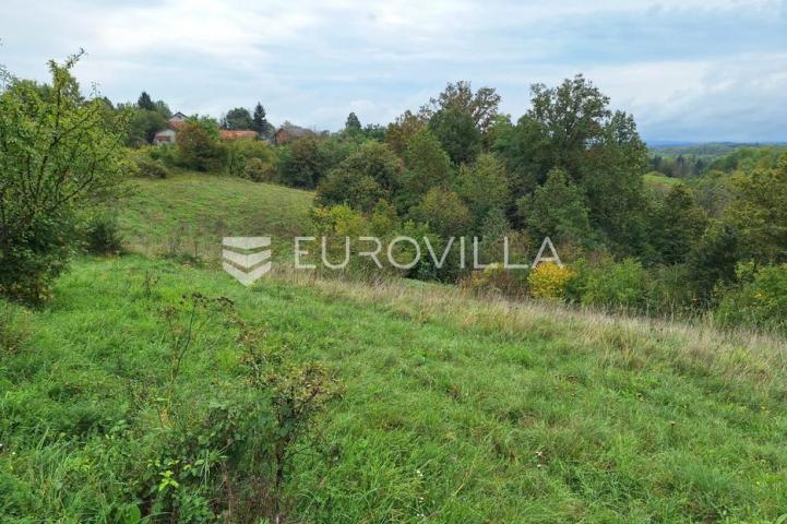 Duga Resa, Mrežnički Novaki, građevinsko zemljište 22300 m²