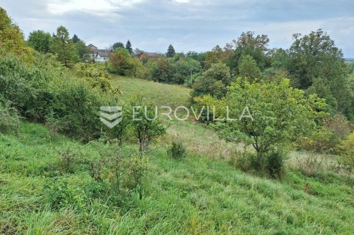 Duga Resa, Mrežnički Novaki, građevinsko zemljište 22300 m²