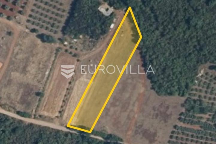 Istra, Muntić poljoprivredno zemljište u blizini centra