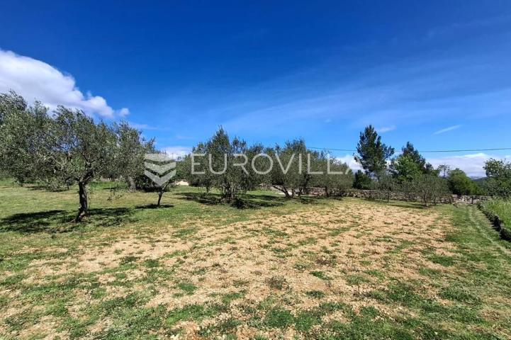 Novigrad, Pridraga, uređeno građevinsko zemljište s pogledom na more površine 1181m2