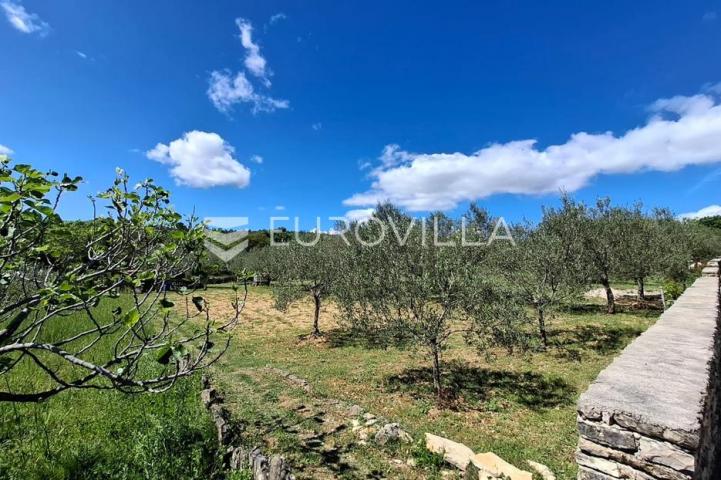 Novigrad, Pridraga, uređeno građevinsko zemljište s pogledom na more površine 1181m2