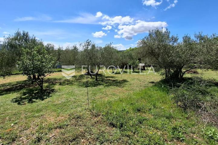 Novigrad, Pridraga, uređeno građevinsko zemljište s pogledom na more površine 1181m2