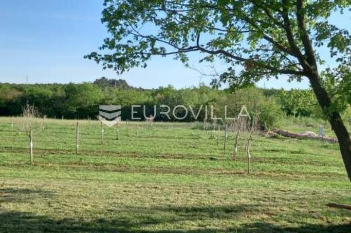 Istra, Rovinj, poljoprivredno zemljište 11818m2  s upisanim objektom od 30m2