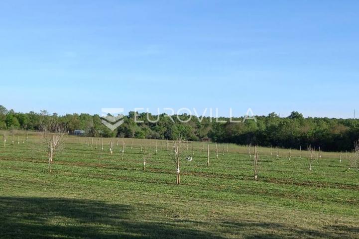 Istra, Rovinj, poljoprivredno zemljište 11818m2  s upisanim objektom od 30m2