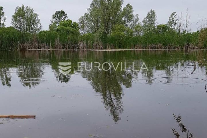 Šag, Valpovo, poljoprivredno zemljište s ribnjakom, površine 38.836 m²