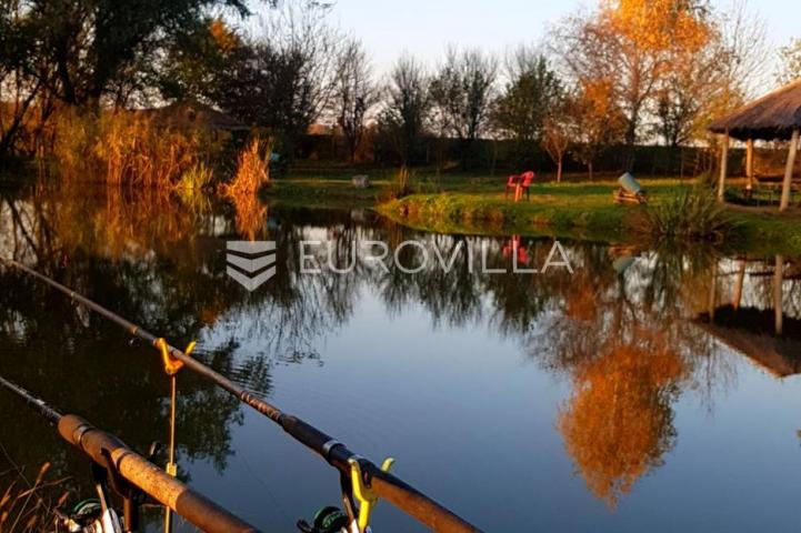 Šag, Valpovo, poljoprivredno zemljište s ribnjakom, površine 38.836 m²