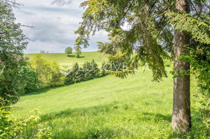 Karlovac, Draganić, prostrano zemljište sa starom kućom površine 27162 m²