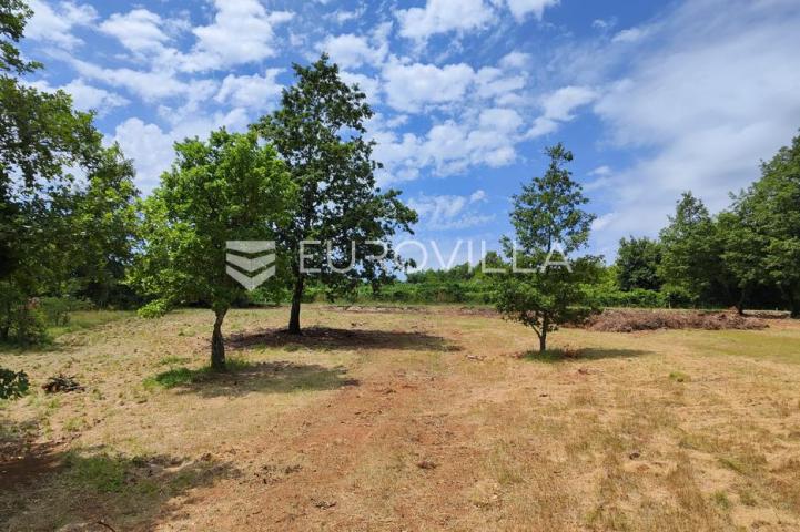 Barban, Rojnići, prekrasno pravokutno građevinsko zemljište 910 m²
