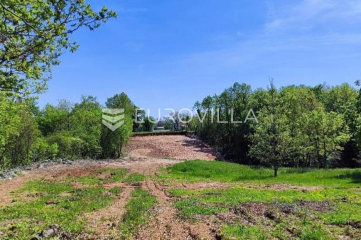 Barban, Rojnići, prekrasno pravokutno građevinsko zemljište 910 m²