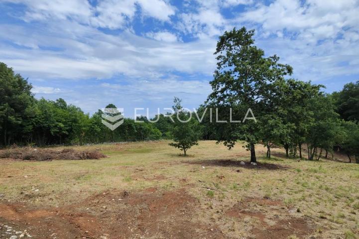 Barban, Rojnići, prekrasno pravokutno građevinsko zemljište 910 m²
