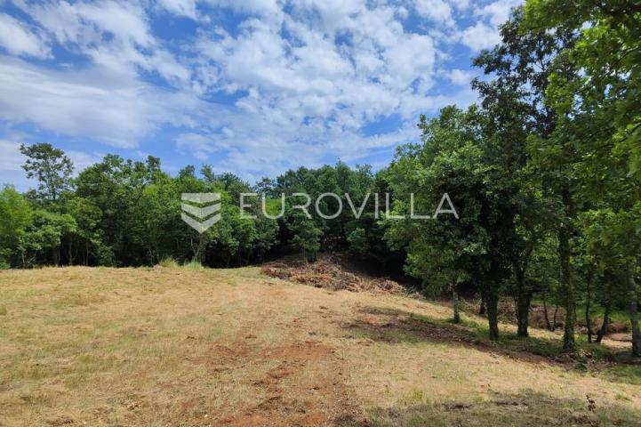 Barban, Rojnići, prekrasno pravokutno građevinsko zemljište 910 m²