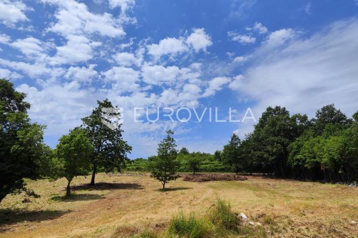 Barban, Rojnići, prekrasno pravokutno građevinsko zemljište 910 m²