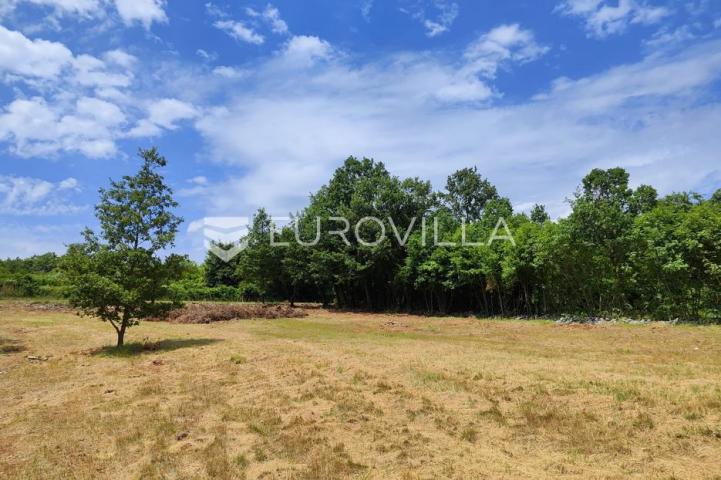 Barban, Rojnići, prekrasno pravokutno građevinsko zemljište 910 m²