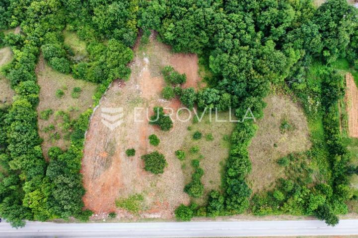 Barban, Rojnići, prekrasno pravokutno građevinsko zemljište 910 m²