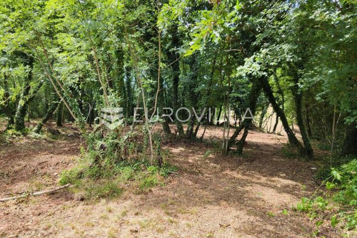 Barban, Rojnići, prekrasno pravokutno građevinsko zemljište 910 m²