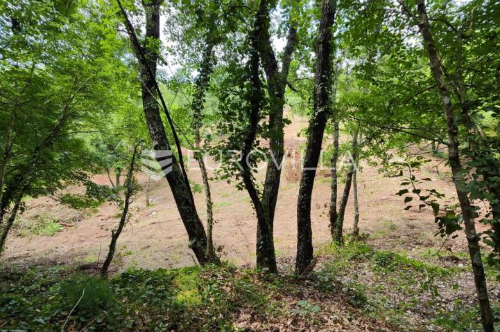 Barban, Rojnići, prekrasno pravokutno građevinsko zemljište 910 m²