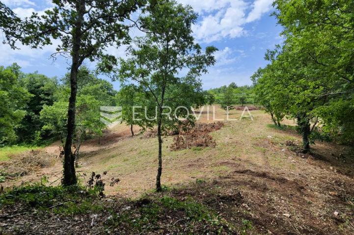 Barban, Rojnići, prekrasno pravokutno građevinsko zemljište 910 m²