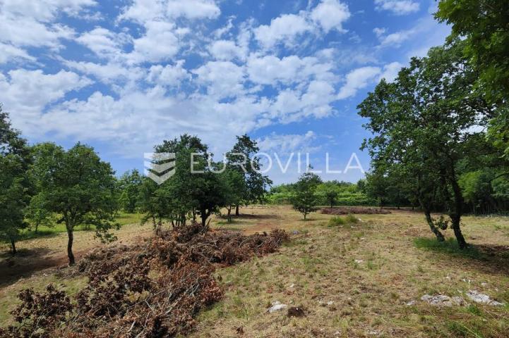 Barban, Rojnići, prekrasno pravokutno građevinsko zemljište 910 m²