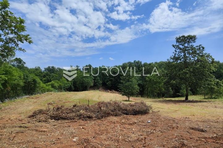 Barban, Rojnići, prekrasno pravokutno građevinsko zemljište 910 m²