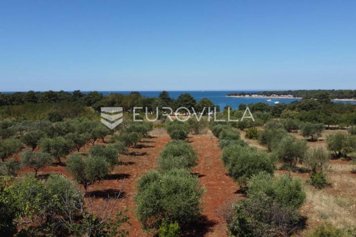 Istra, Poreč, luksuzna vila na 400m od mora