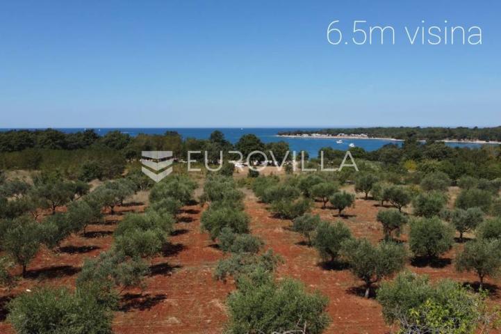 Istra, Poreč, luksuzna vila na 400m od mora