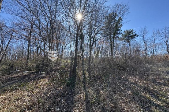 Istra, Barban, građevinsko i poljoprivredno zemljište 3260m2 u mirnom djelu 