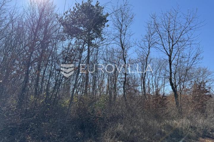 Istra, Barban, građevinsko i poljoprivredno zemljište 3260m2 u mirnom djelu 