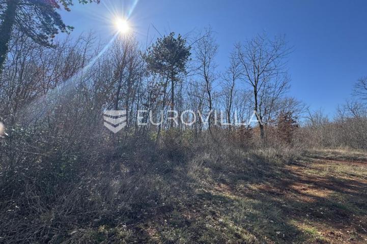 Istra, Barban, građevinsko i poljoprivredno zemljište 3260m2 u mirnom djelu 