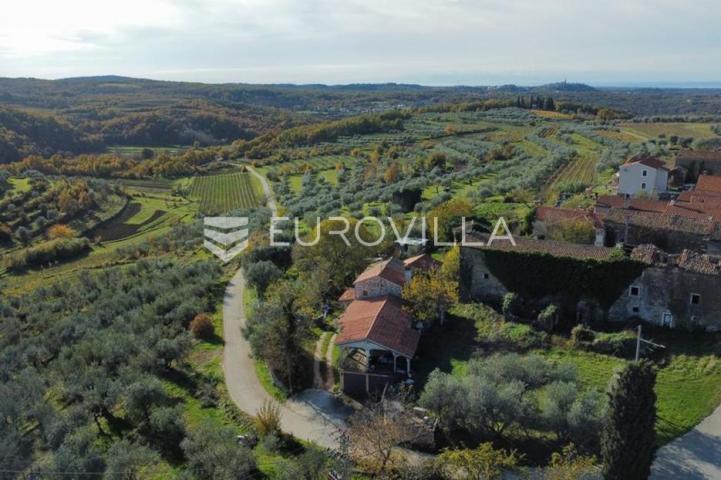 Istra, Momjan, autohtono istarska stancija za renovaciju