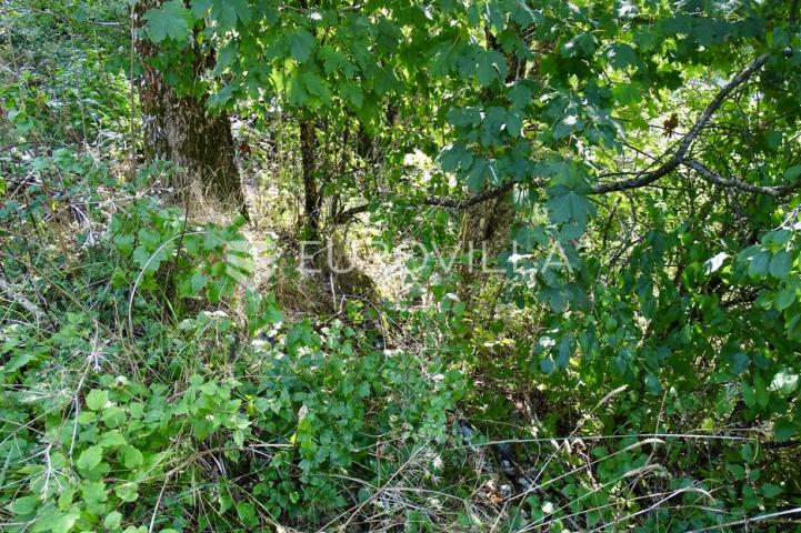 Delnice, Lučice, idealan građevinski teren za villu ili investiciju