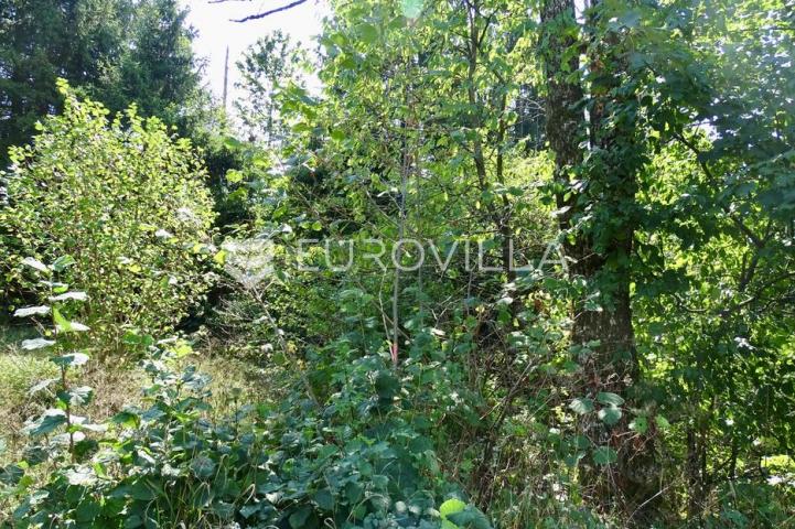 Delnice, Lučice, idealan građevinski teren za villu ili investiciju