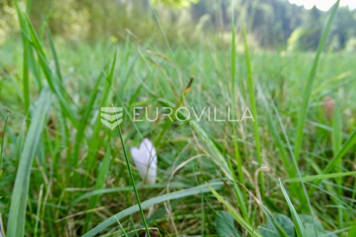 Delnice, Lučice, idealan građevinski teren za villu ili investiciju