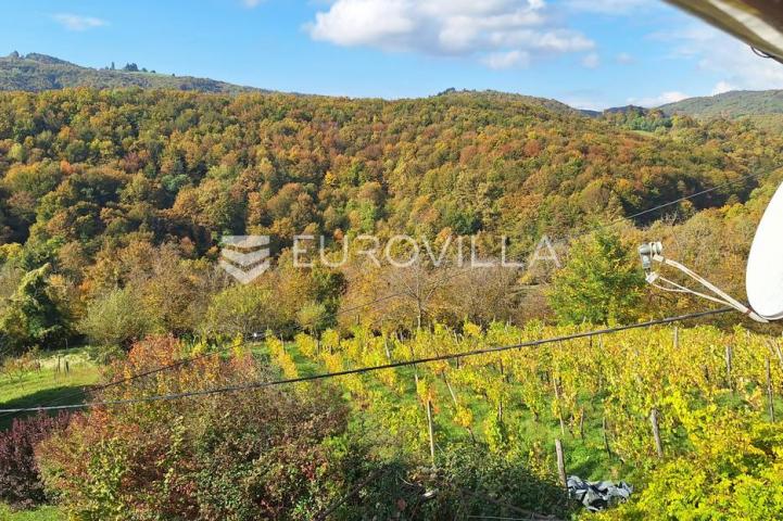 Krašić, kuća 230 m², 7215 m² zemljišta