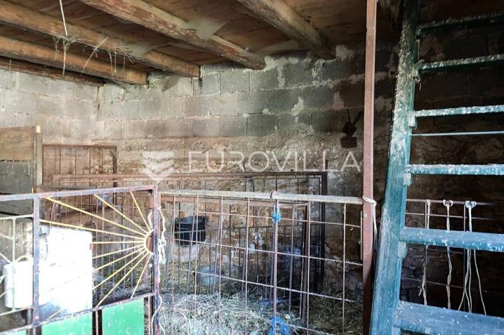 Istra, Barban, dvojna kamena kuća za adaptaciju