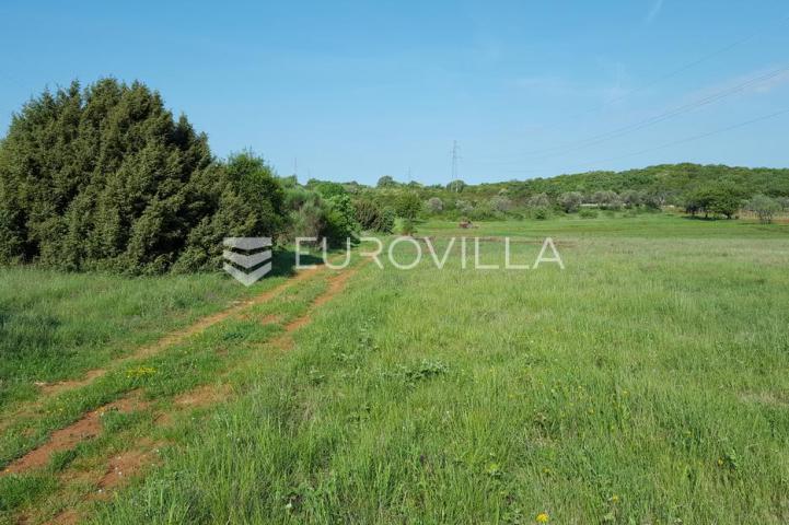 Istra, Rovinjsko selo, 6599m2 poljoprivredno zemljište  s manjim gospodarskim objektom 