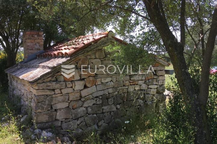 Istra, Rovinjsko selo, 6599m2 poljoprivredno zemljište  s manjim gospodarskim objektom 
